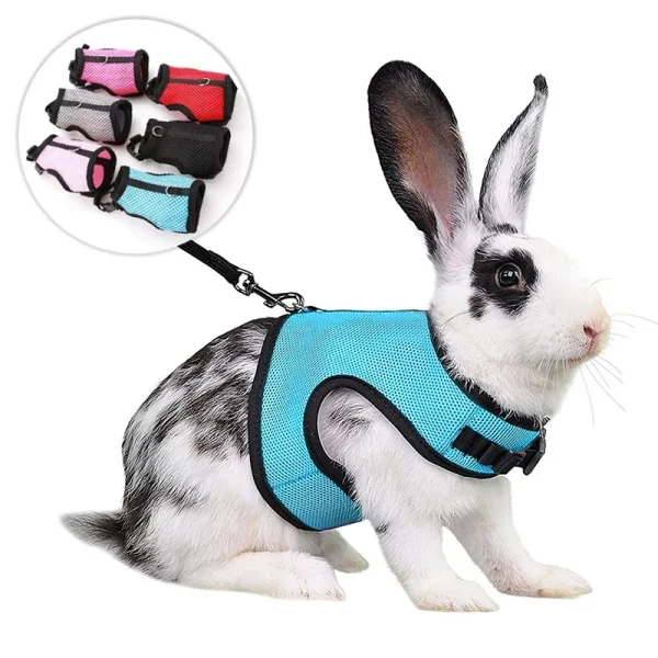 Rabbit Soft Harness  And Elastic Leash Set