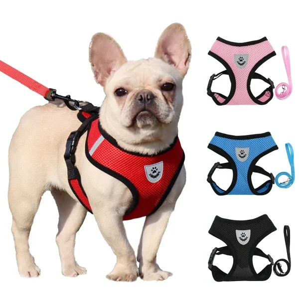 Small Dog Harness