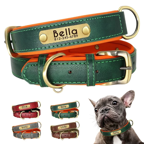 Customized  Nameplate, Leather Dog Collar